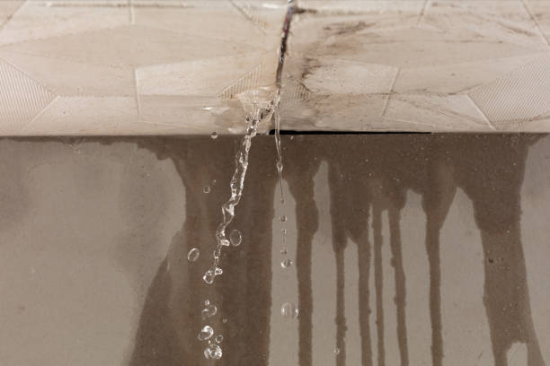 Professional Burst Pipe Cleanup technician working in Windsor, NC